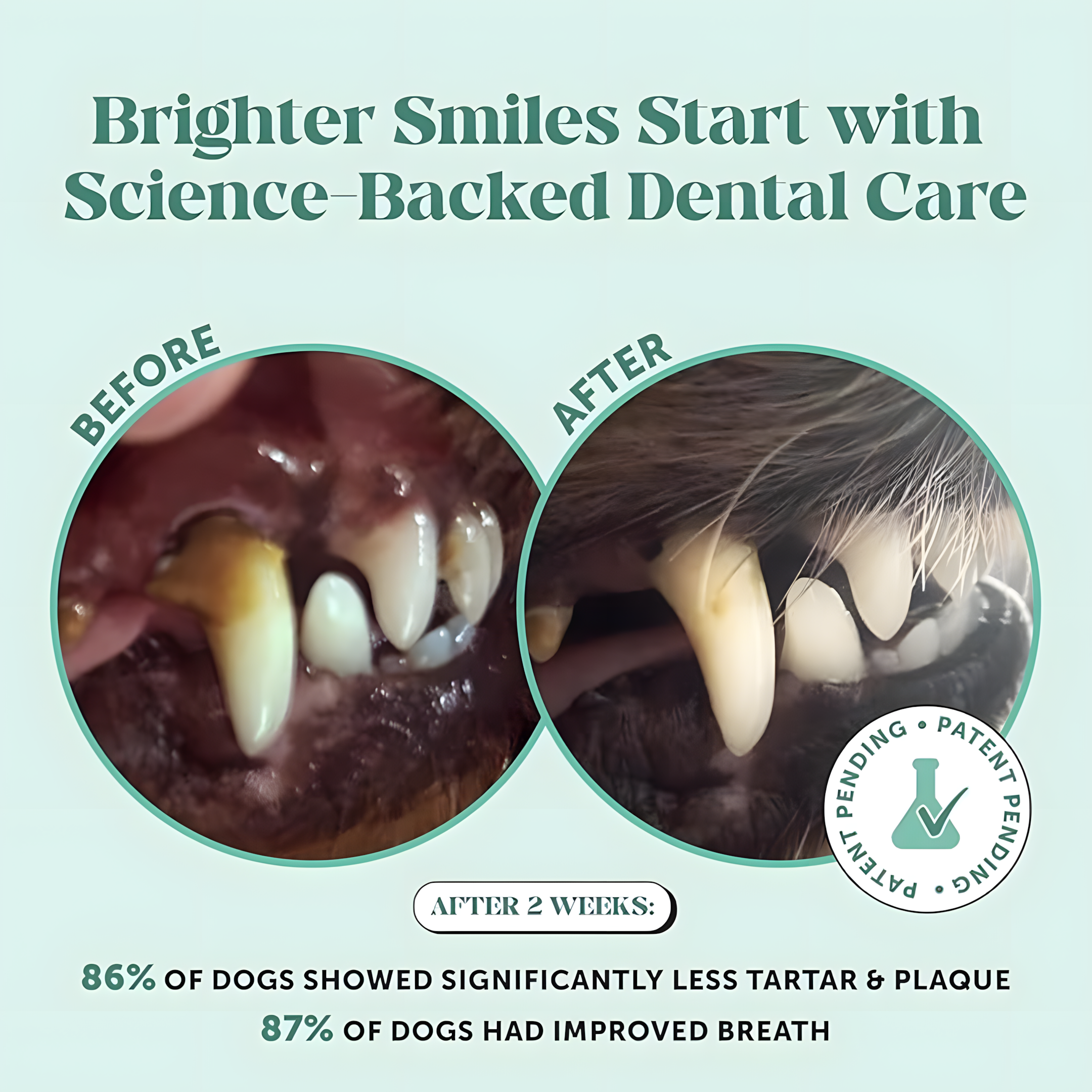 PupDental Powder™