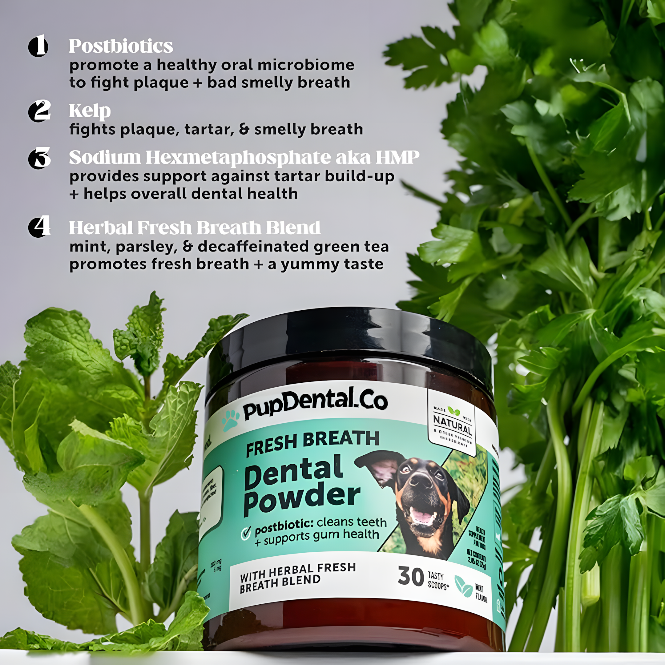 PupDental Powder™